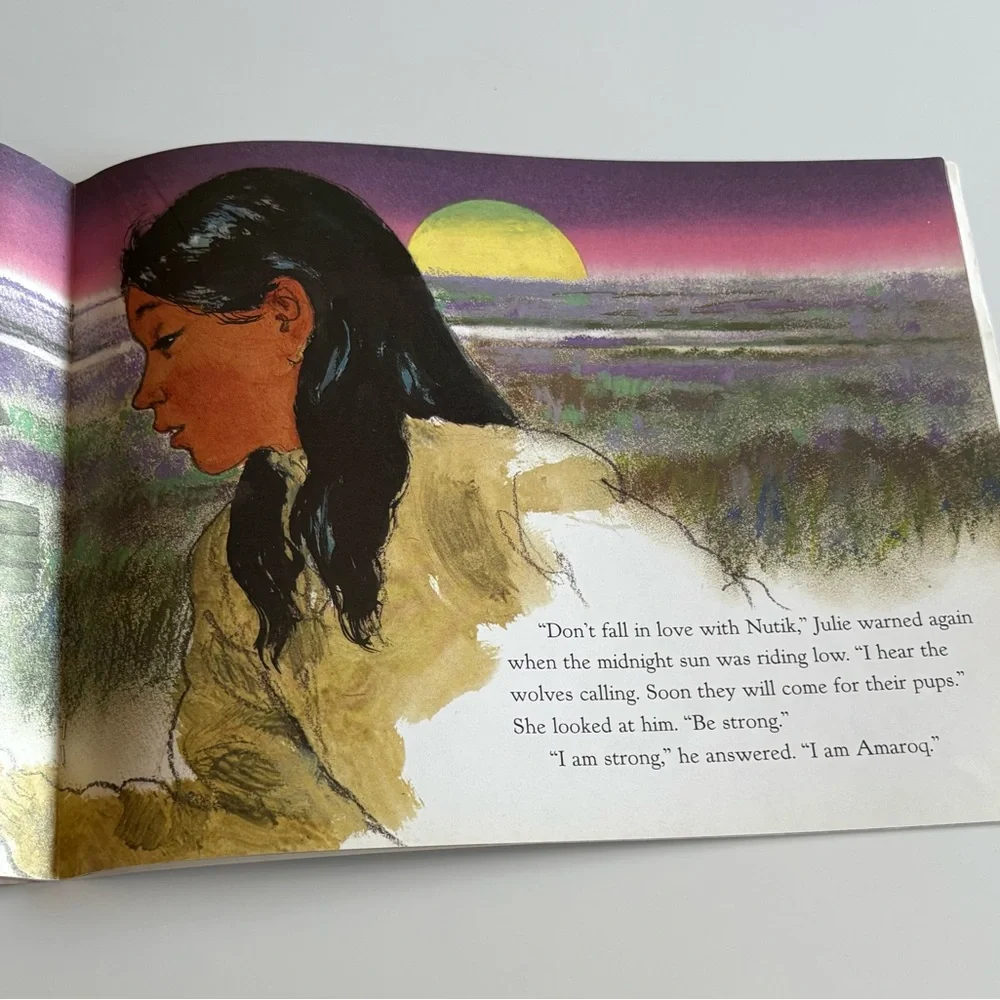 Children's Book Collection (20)